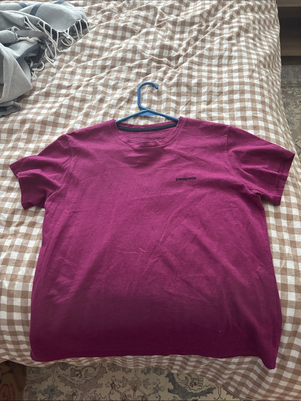 Patagonia Women's Raspberry Crew Neck Tee